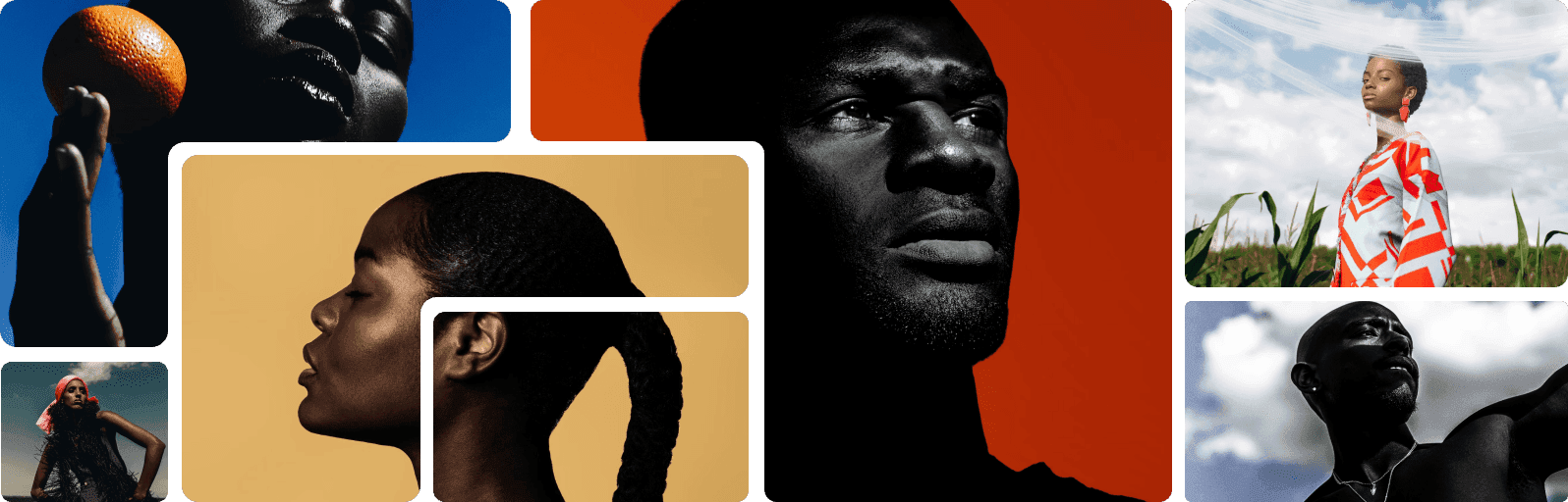 photography showcase